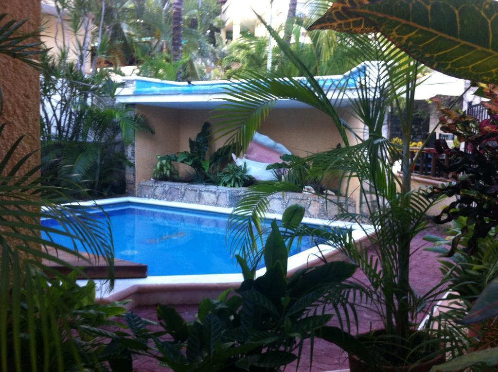 Vista Caribe Diving Resort Playa Del Carmen Ngoại thất bức ảnh